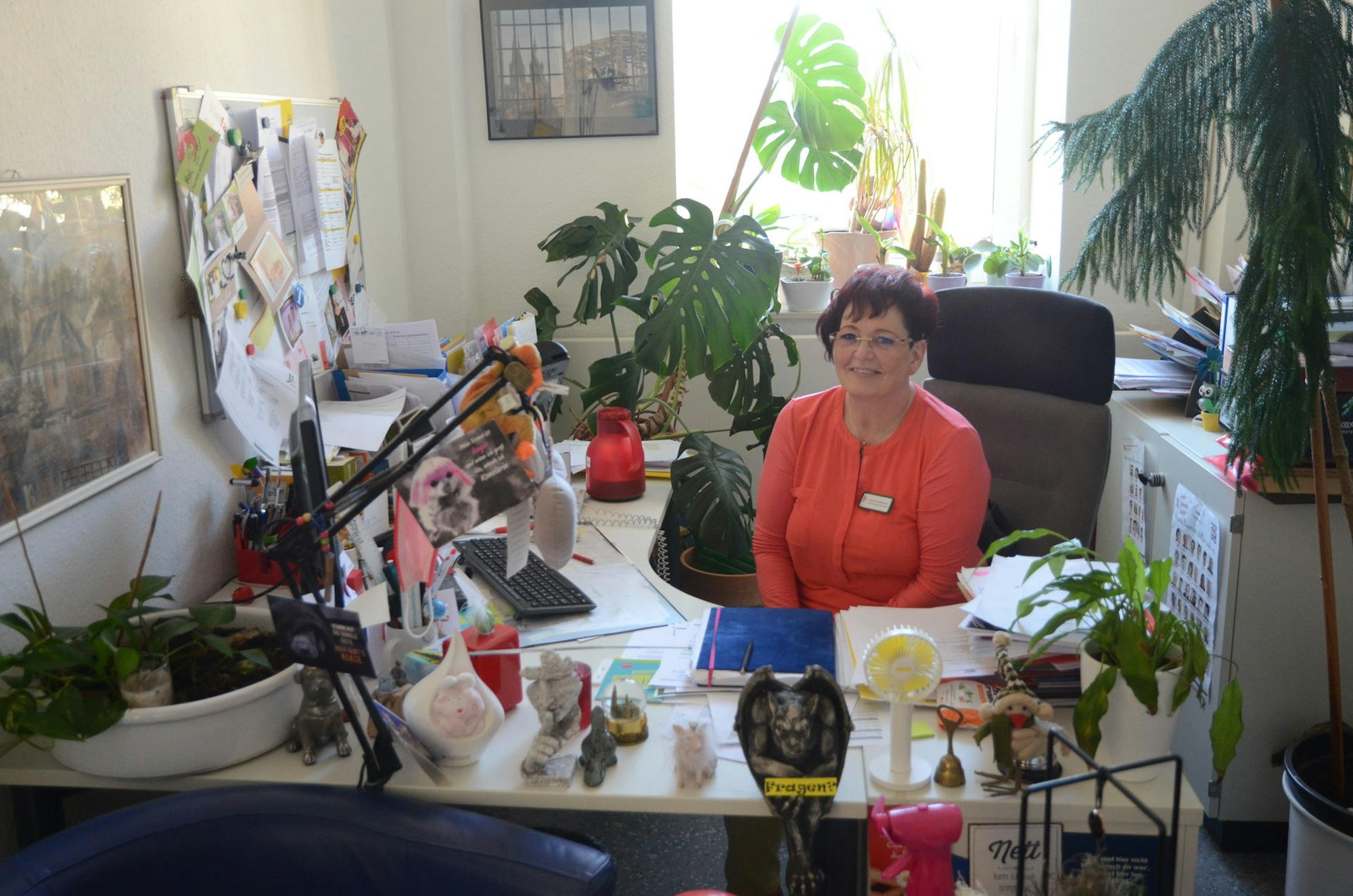 Präsident Pechvogel Steinhauer