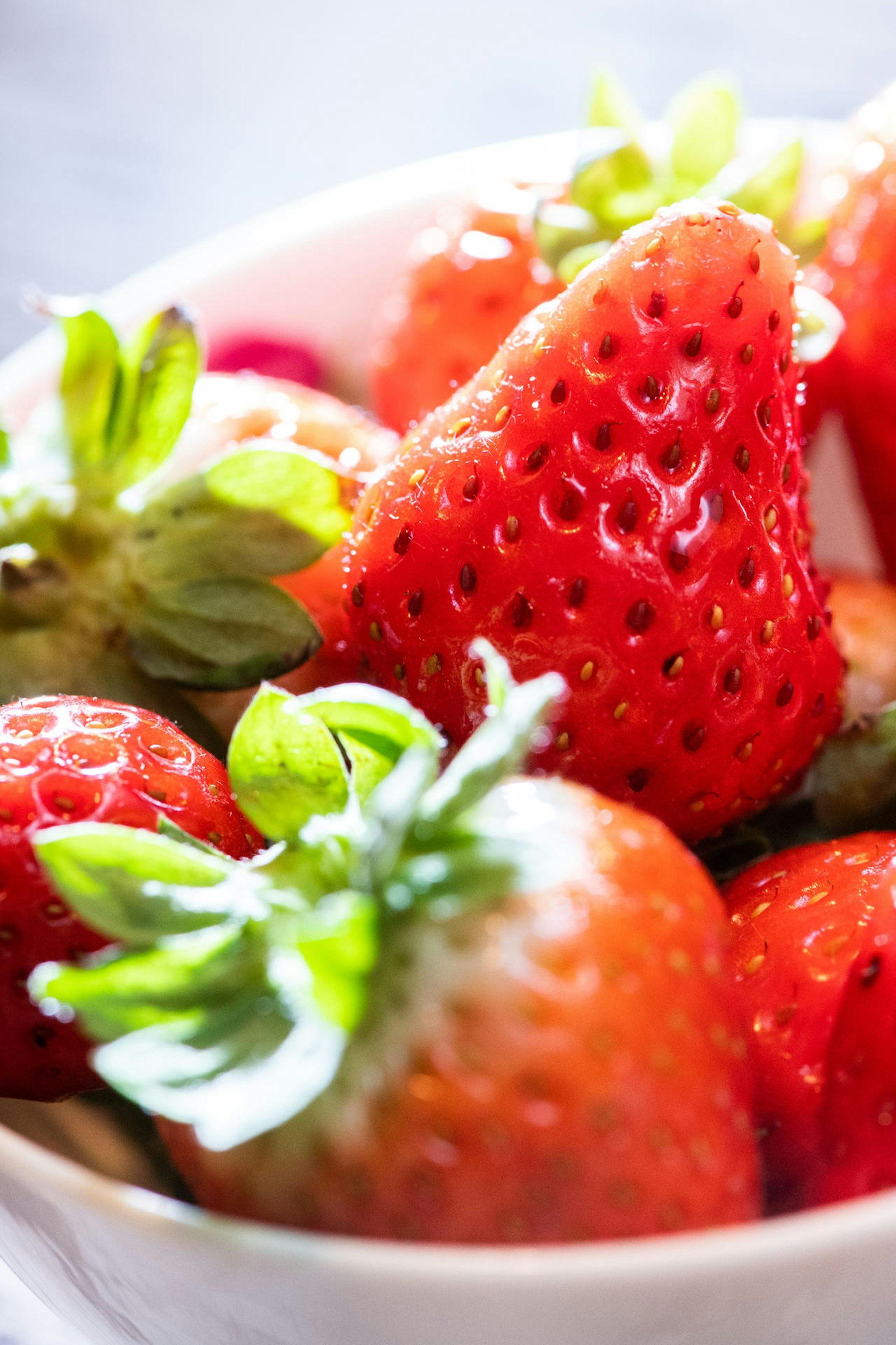 Erdbeeren Bild Kochbuch