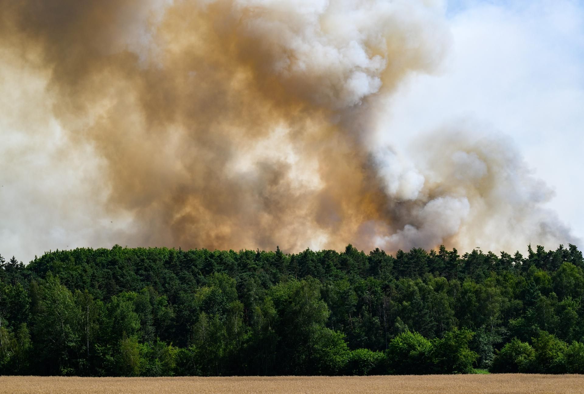 Waldbrand Radeburg 190722