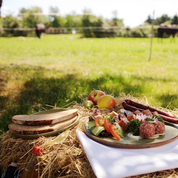 Picknickgedeck auf Stroh, dahinter ist eine Wiese zu sehen.