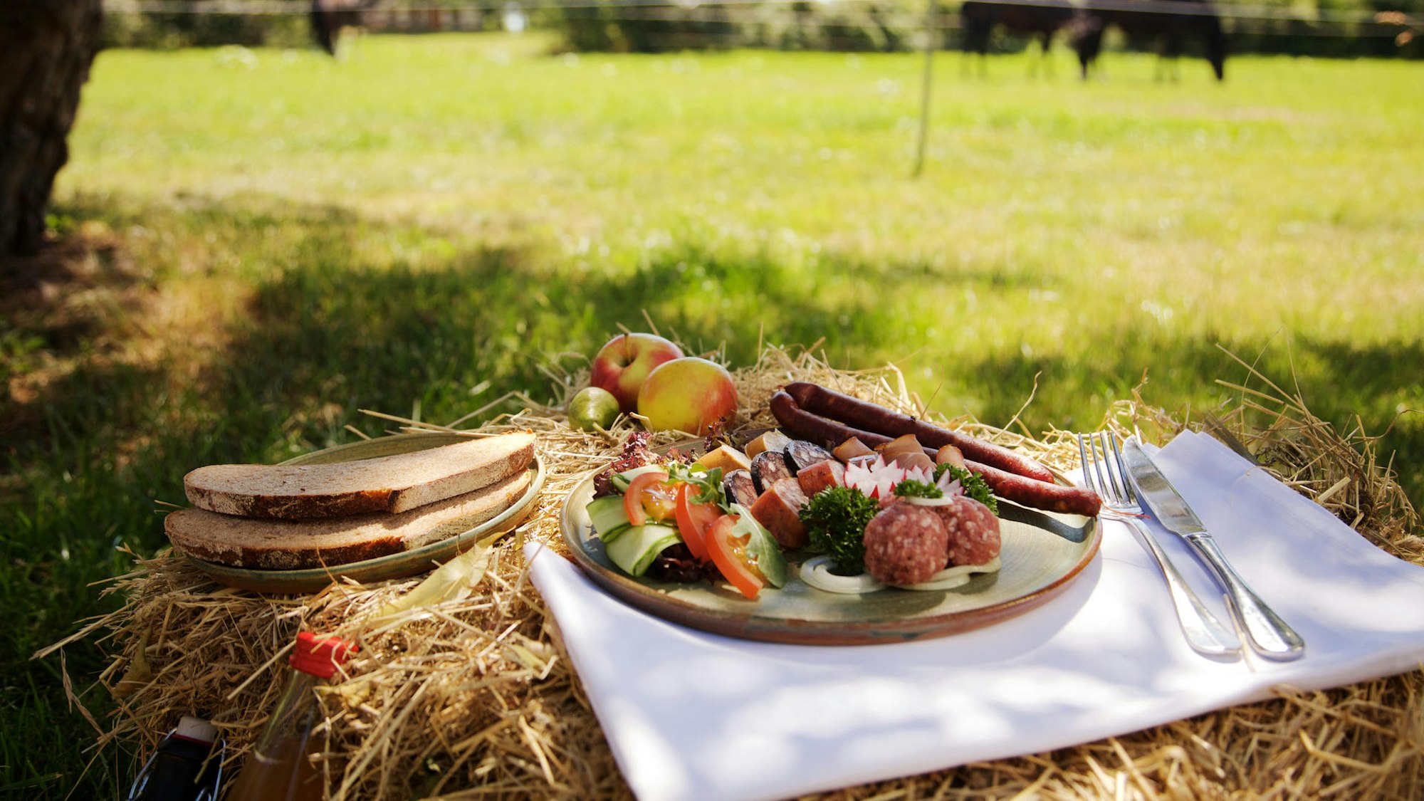 Picknickgedeck auf Stroh, dahinter ist eine Wiese zu sehen.