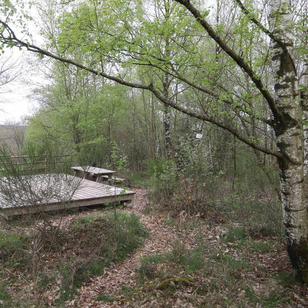 Eifel_Trekking_Herhahn_1