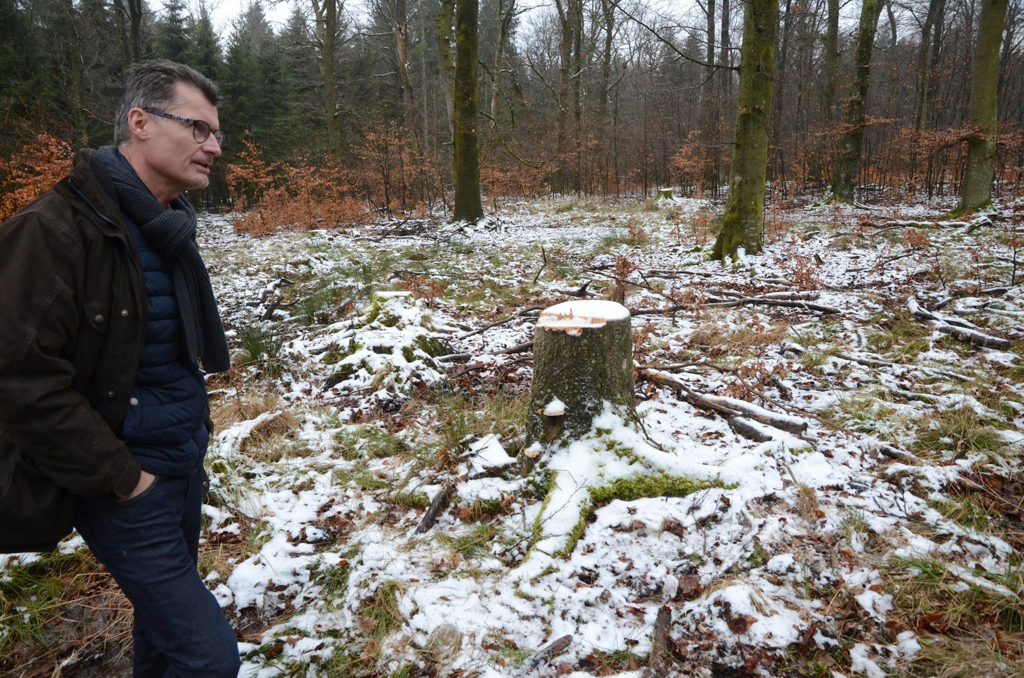 Bürgermeister aus Dahlem im Wald