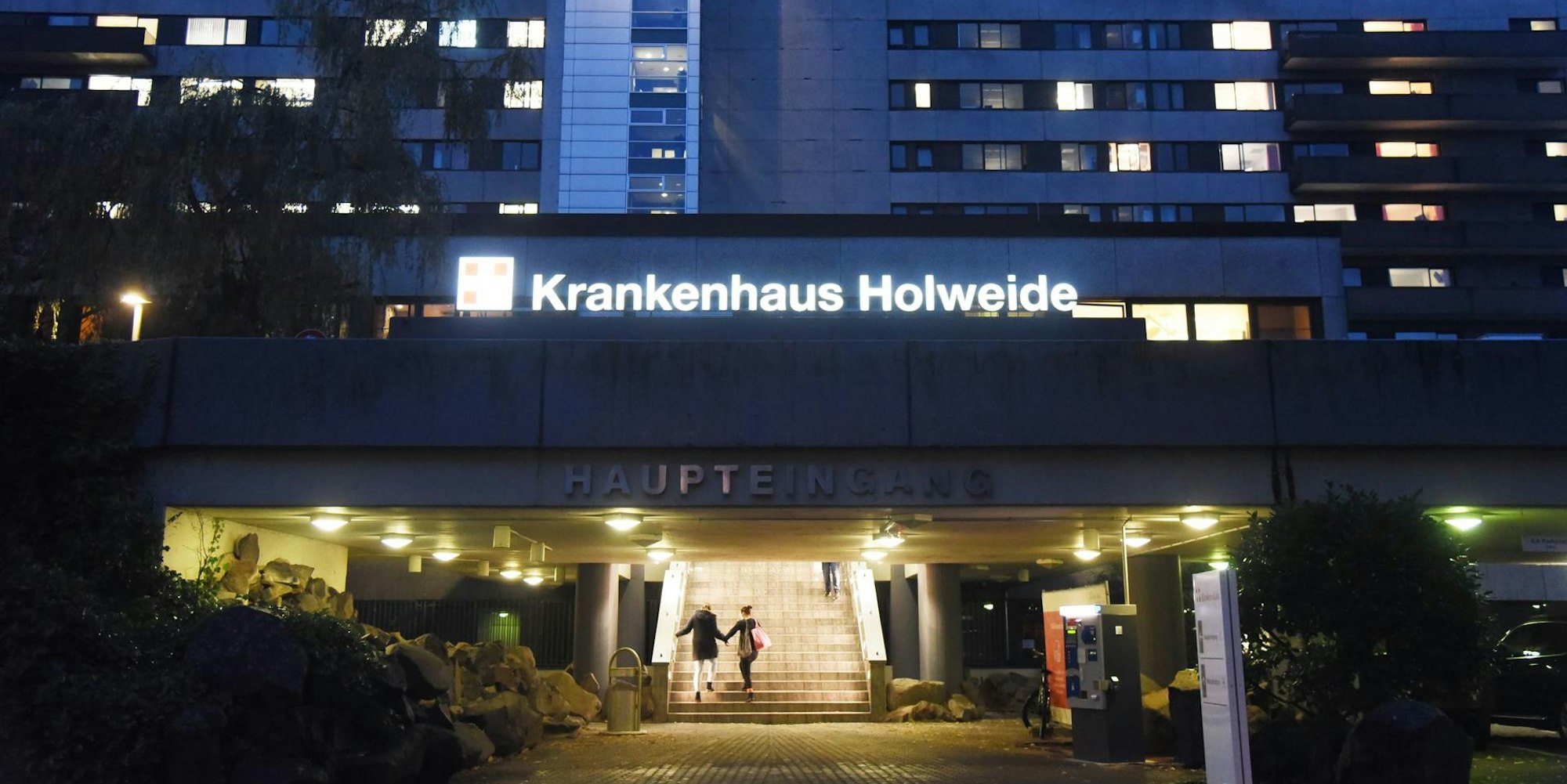 krankenhausholweide