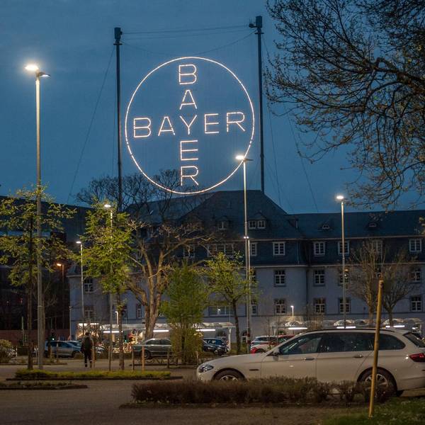 lev-bayer-Kreuz