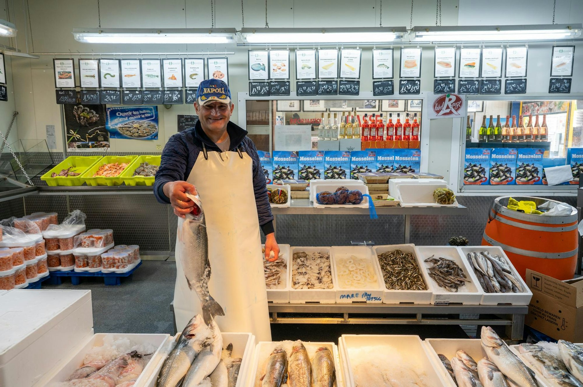 Mare Fisch Übersicht