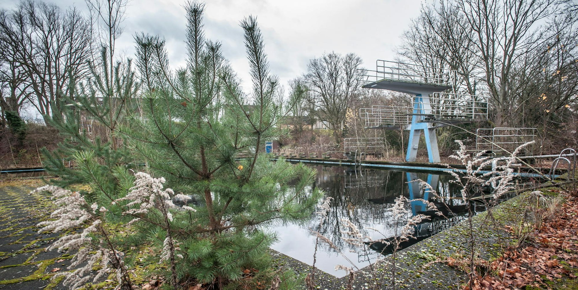 auermuehle_LEV_rar_RLE_12032021ALF_5493