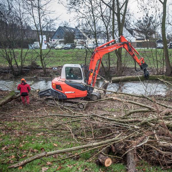 dhuenn-baeume-gefaellt_rar_RLE_01172022ALF_8635