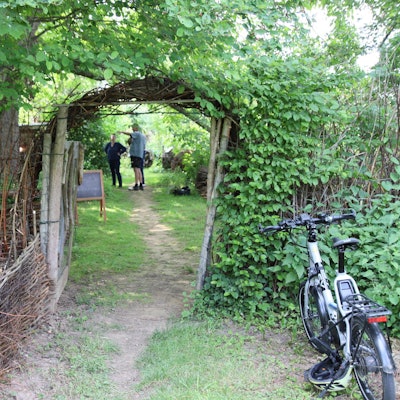 Garten-TRO-Klaßen_4381