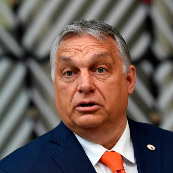 Orban dpa neu
