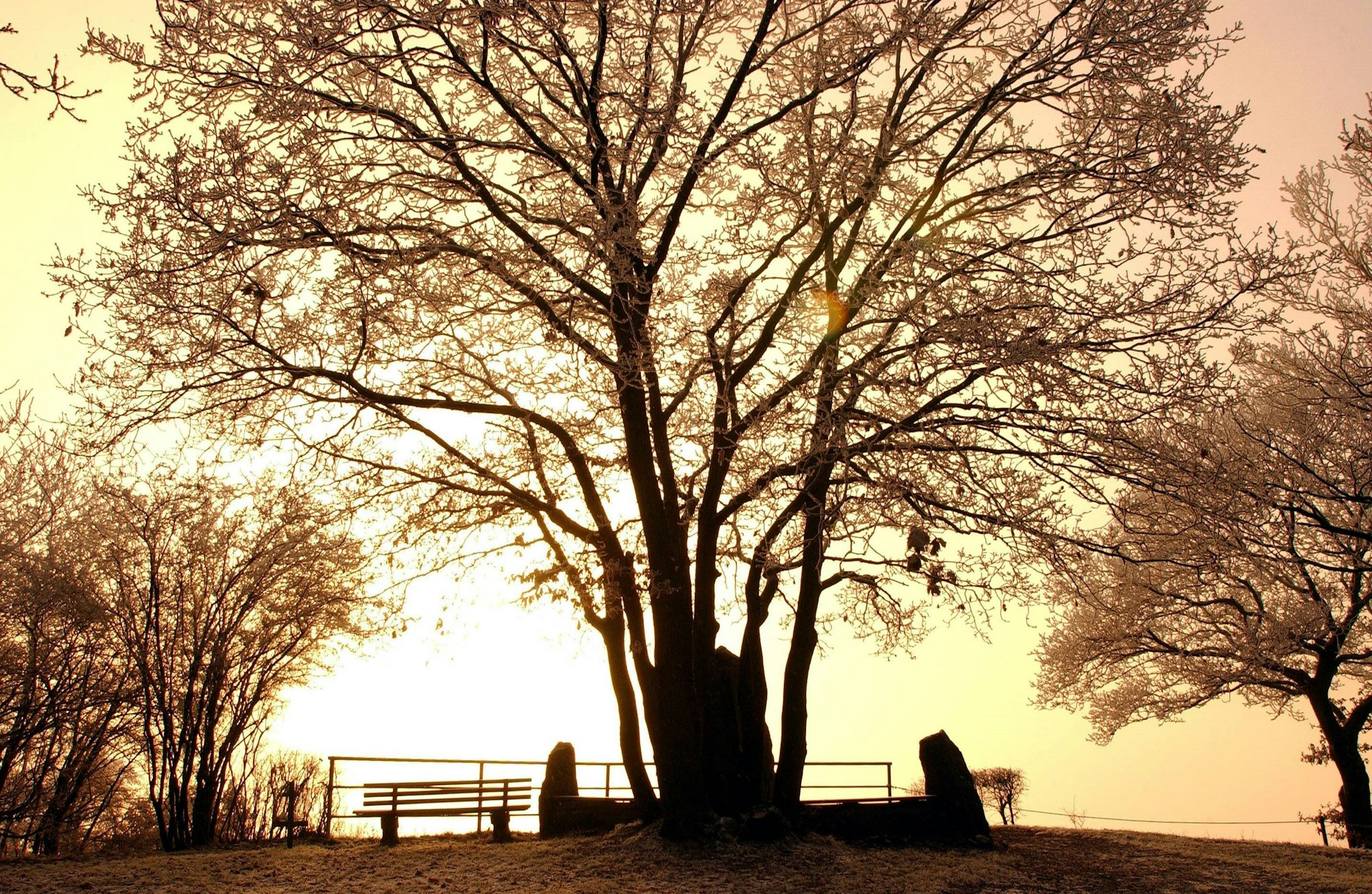 Erpeler Ley Hans-Günther Oed imago50986787h