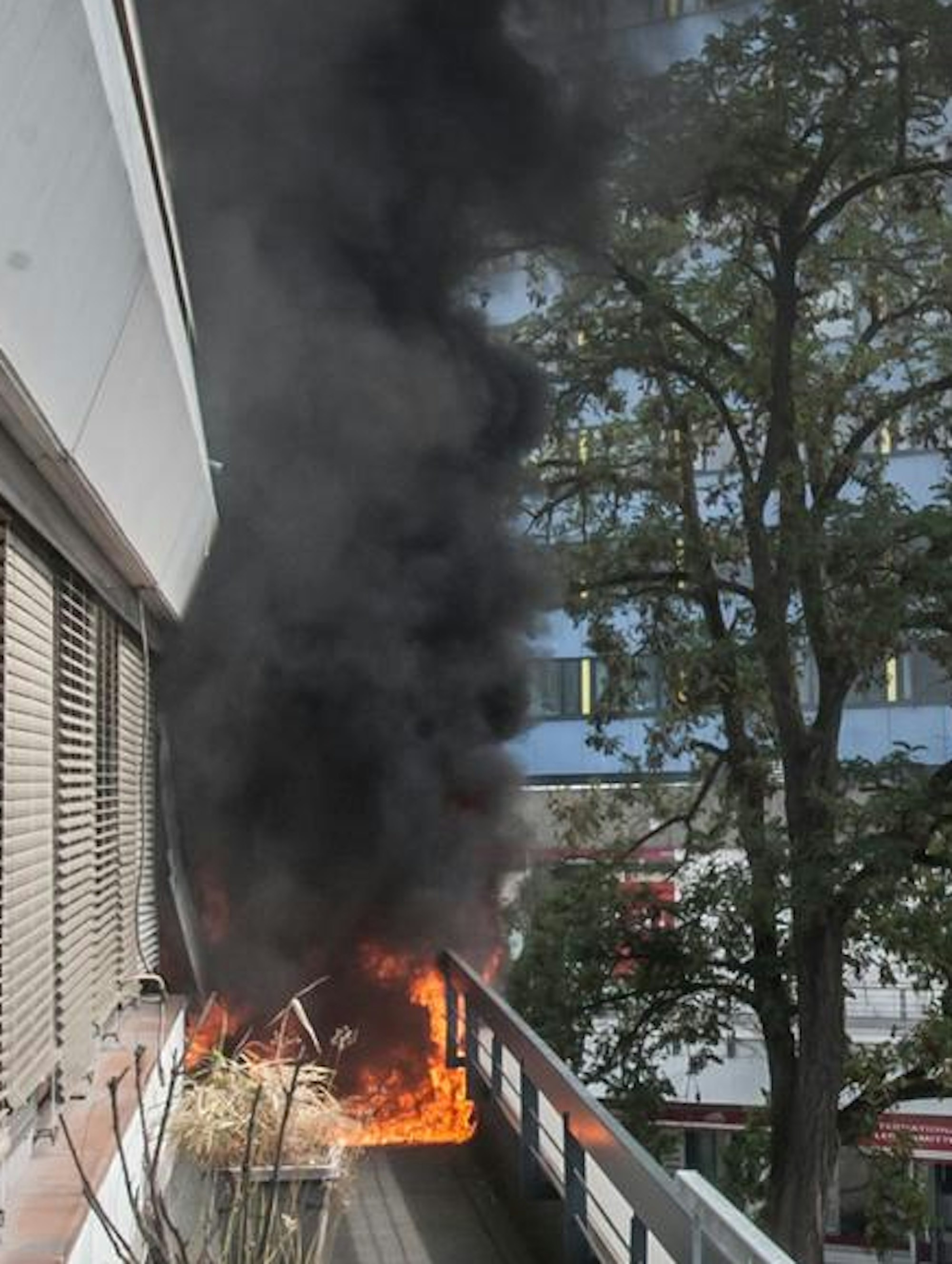 feuer_rar_rle_07292022ALF_2355