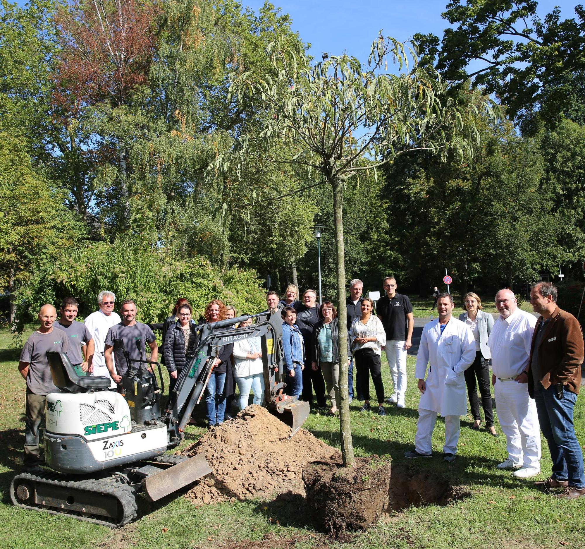 KLiniken Köln Baum