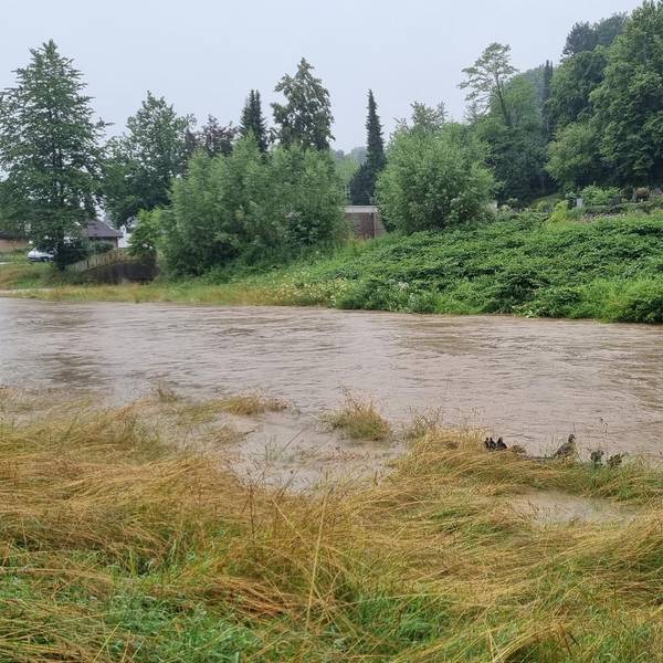 Hochwasser in Hoffnungsthal 190721