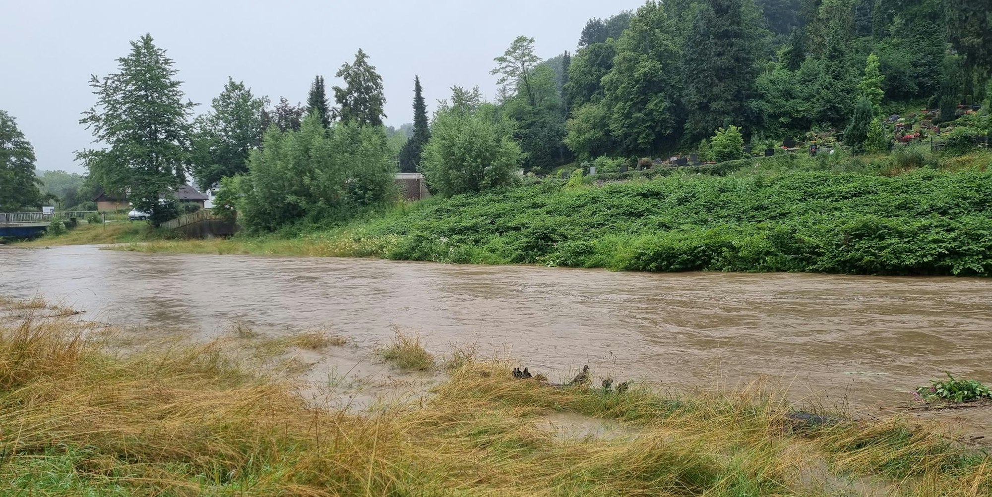 Hochwasser in Hoffnungsthal 190721