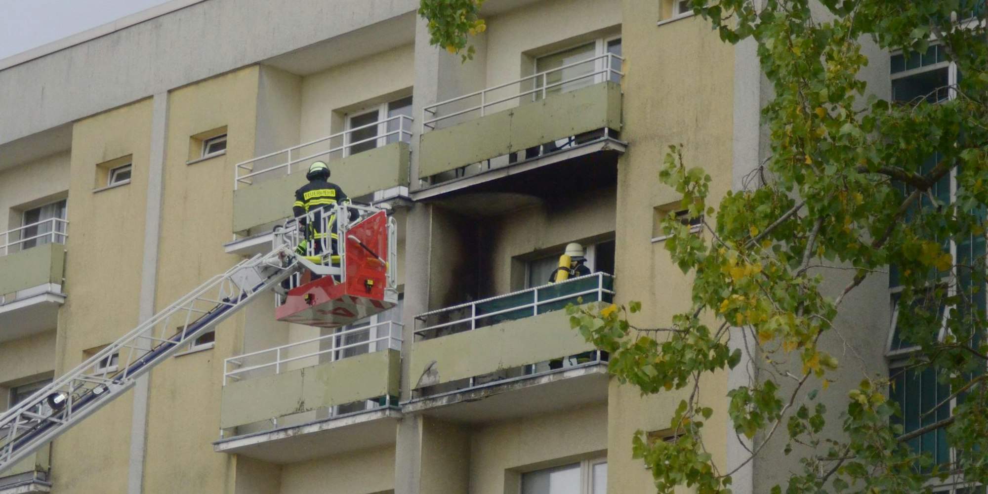 Neuer Inhalt (1)