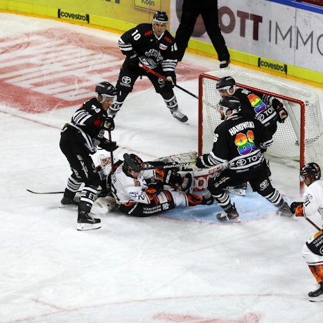 Kölner Haie gegen Wolfsburg