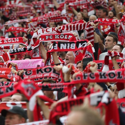 Fans FC Bucco Schals