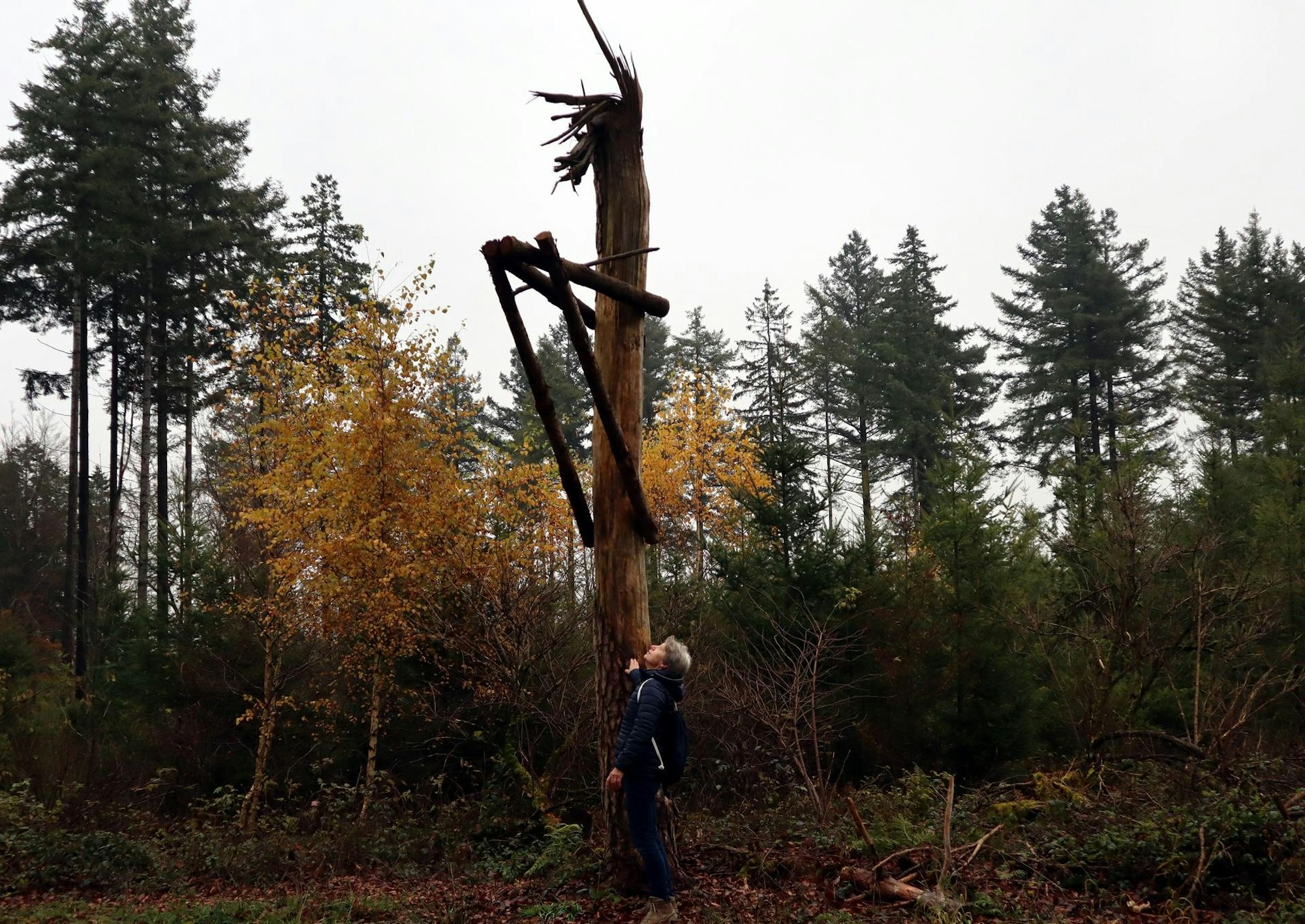 Wanderung Ulmen Galgen