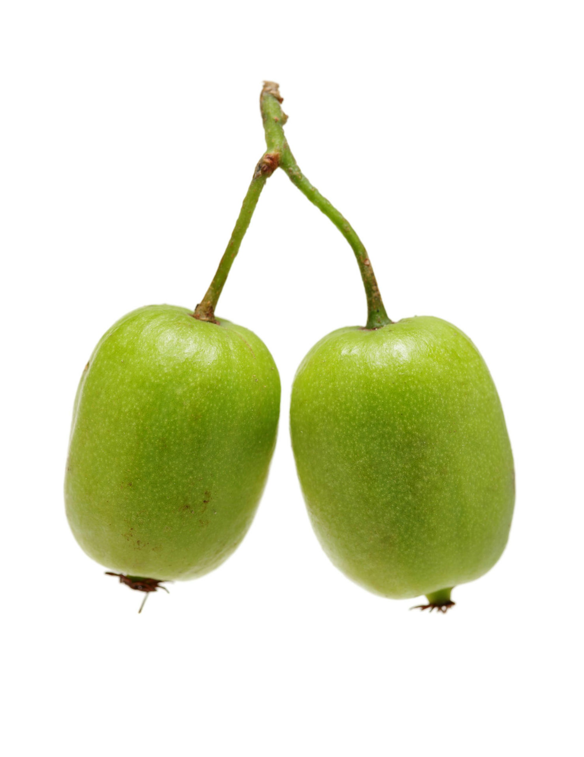 mini kiwi zu