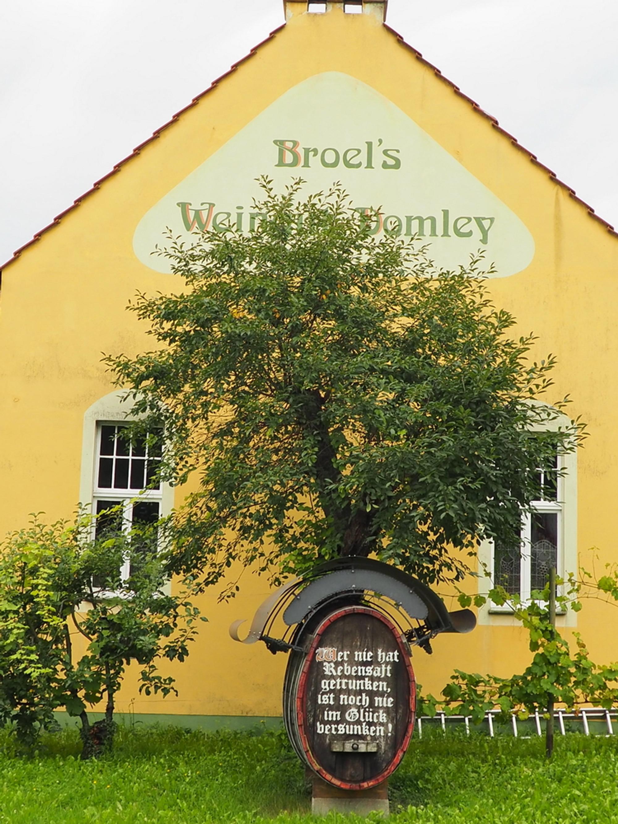 Weingut-Broel-1_Bildgröße ändern