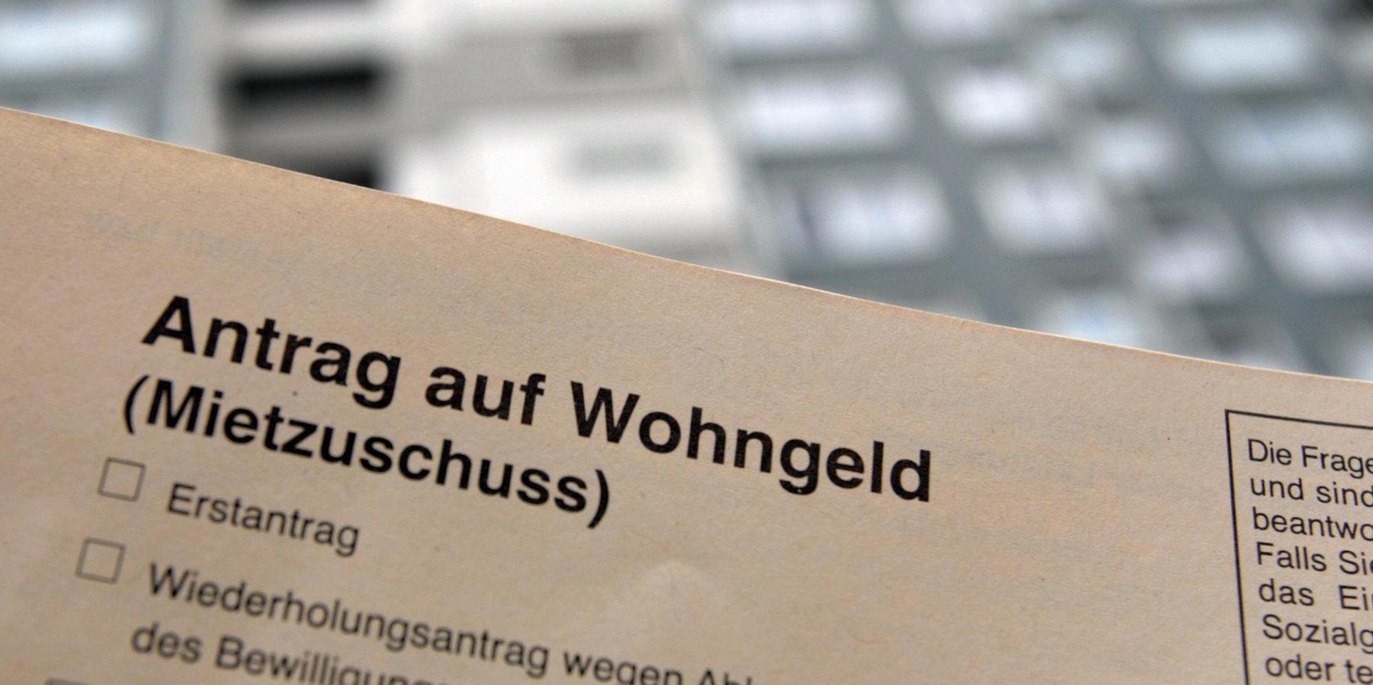 Neuer Inhalt (4)