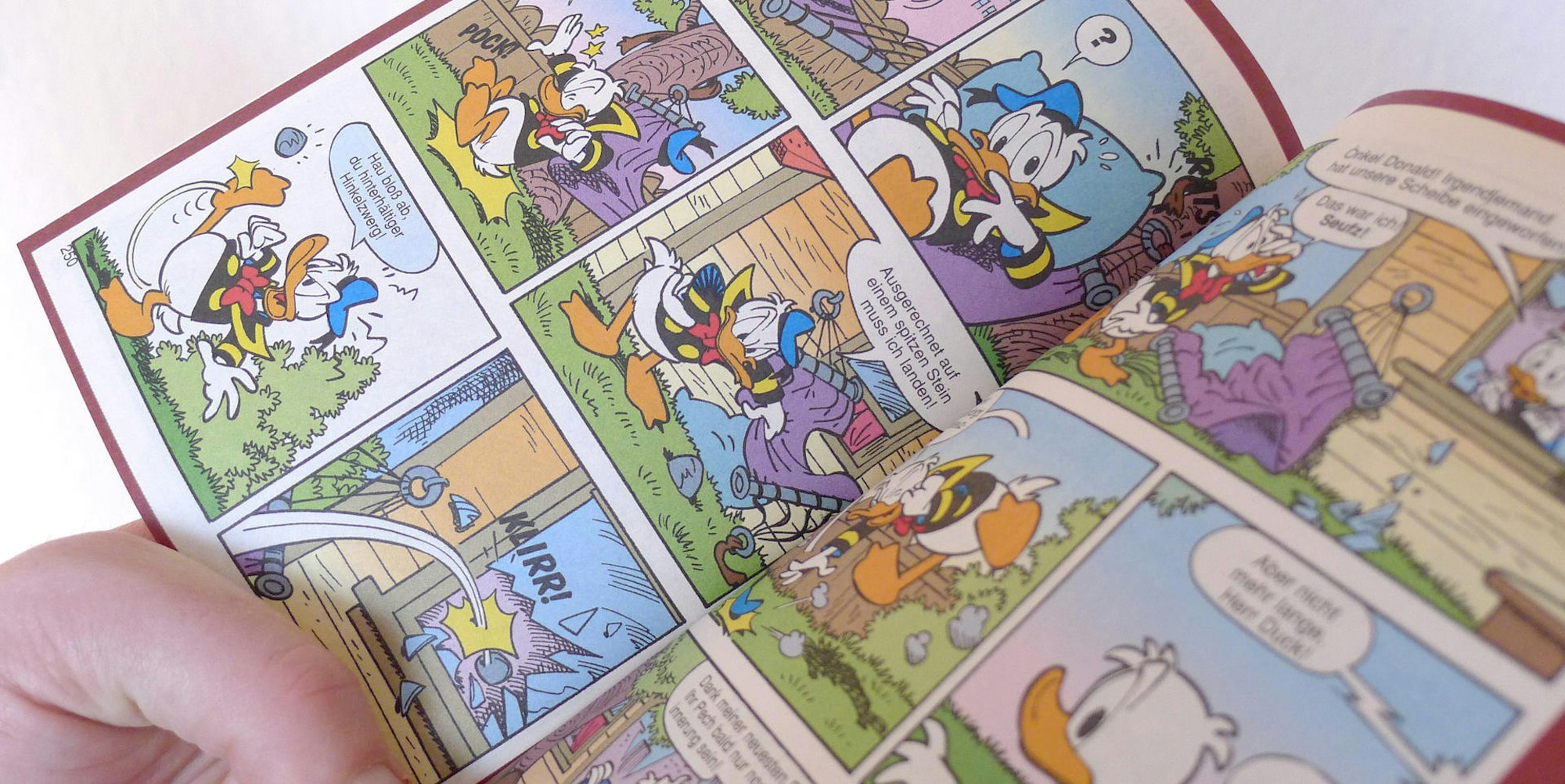 donald duck buch