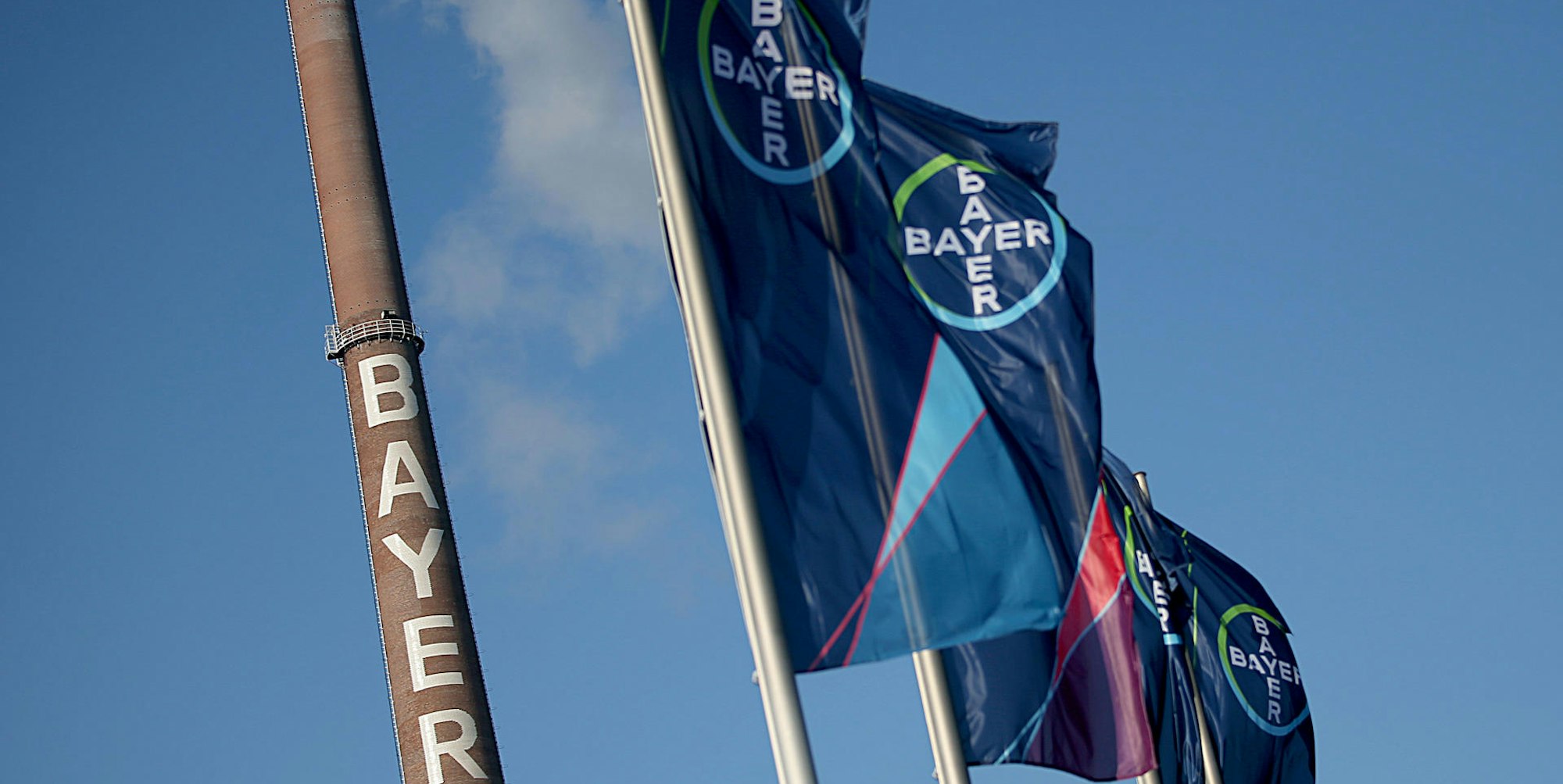 Bayer Konzern Leverkusen Fahnen Symbolbild