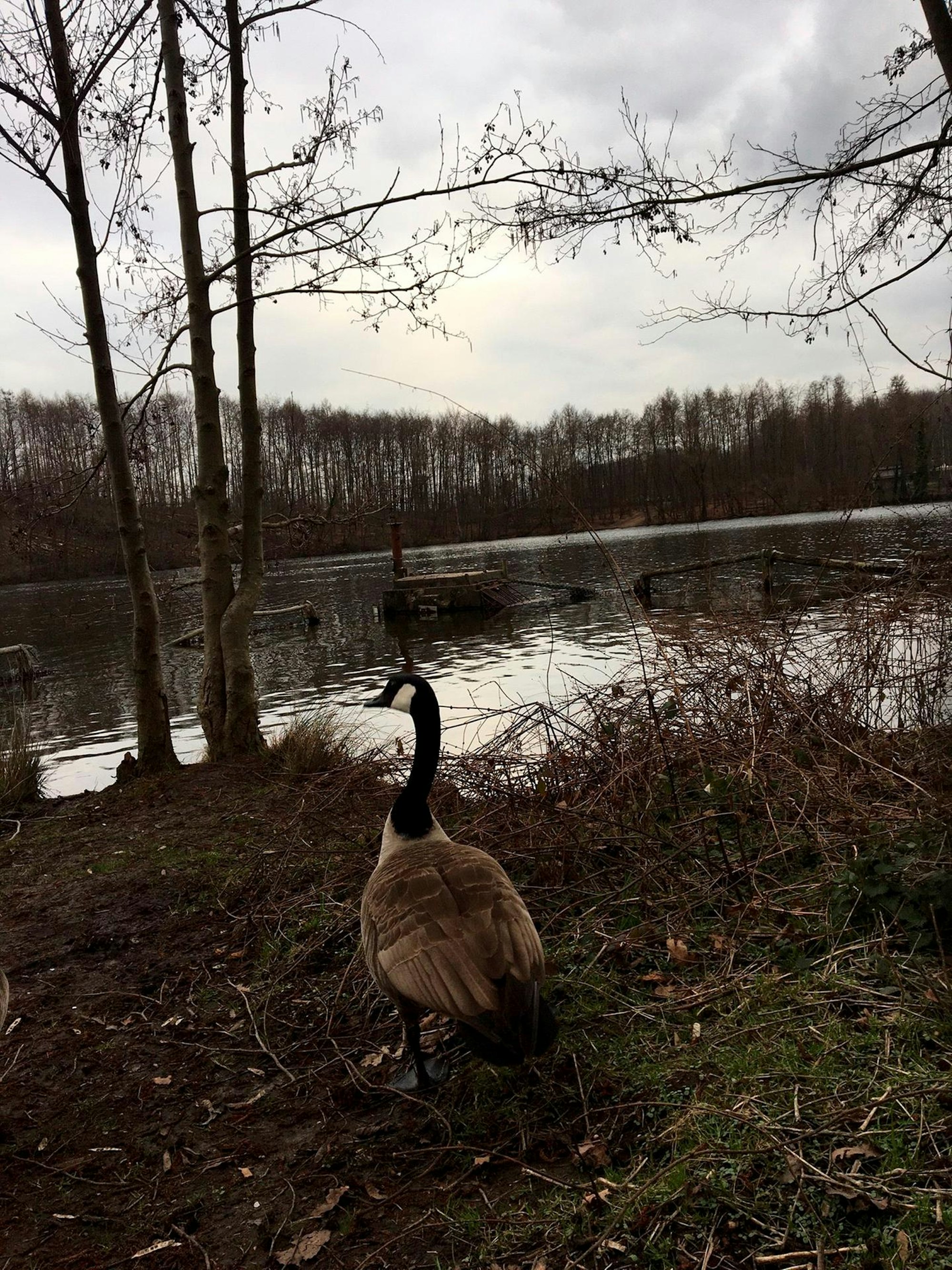 Rätselwanderung Bild 2