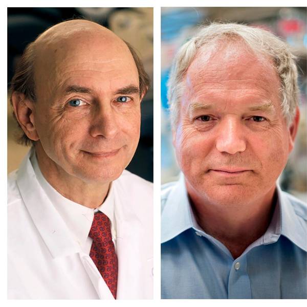 Nobelpreis Medizin 2020