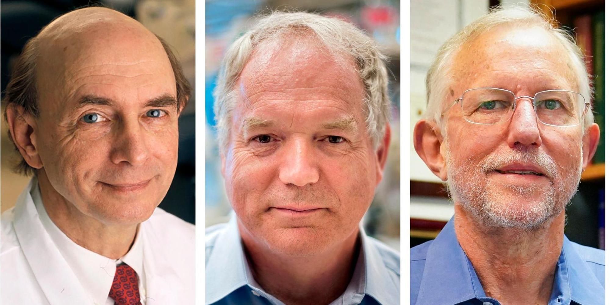 Nobelpreis Medizin 2020