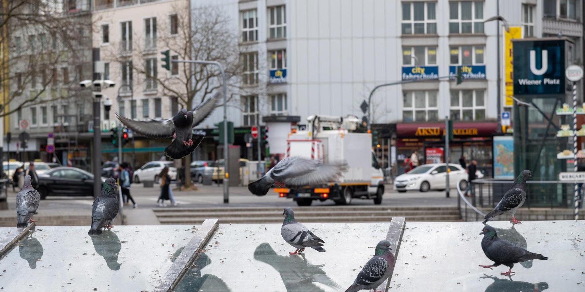 Streifzug durch Köln 2