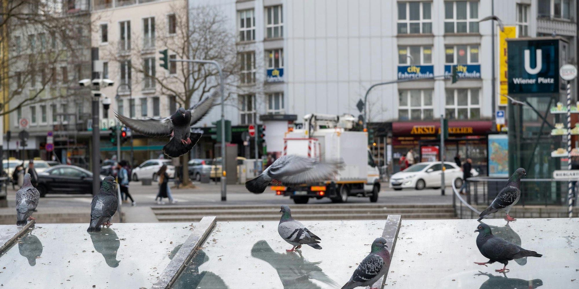 Streifzug durch Köln 2