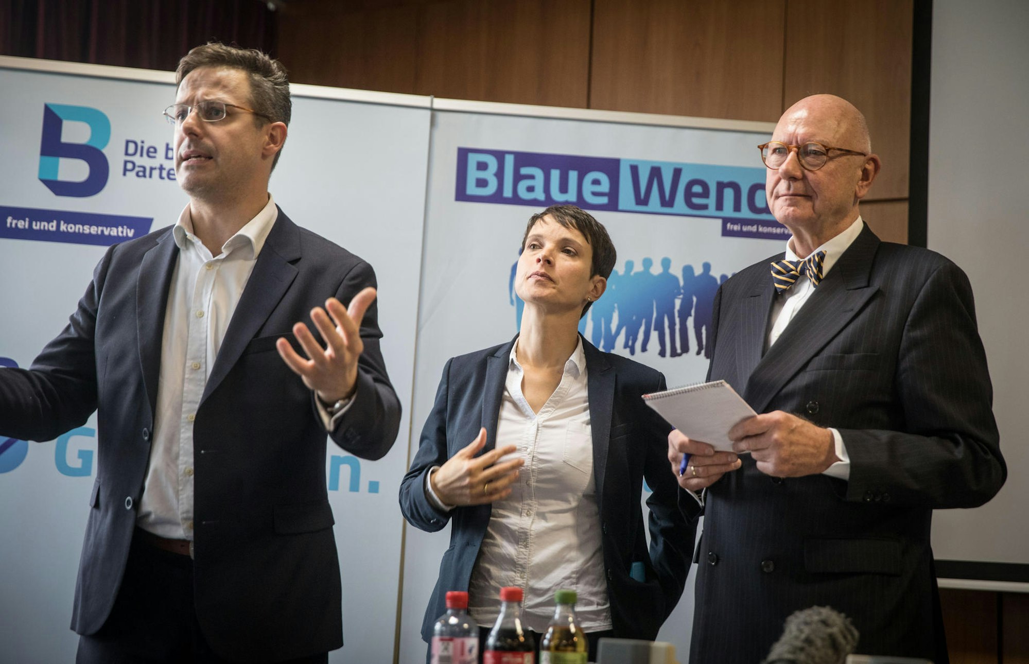 Pretzell Petry Die Blauen