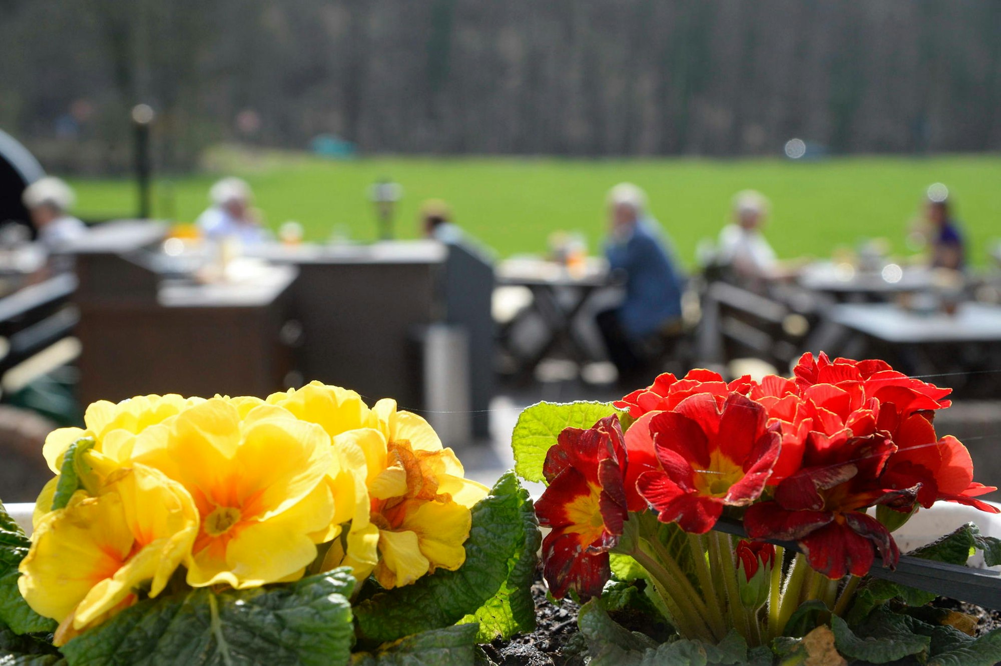Biergarten Sommer 150322