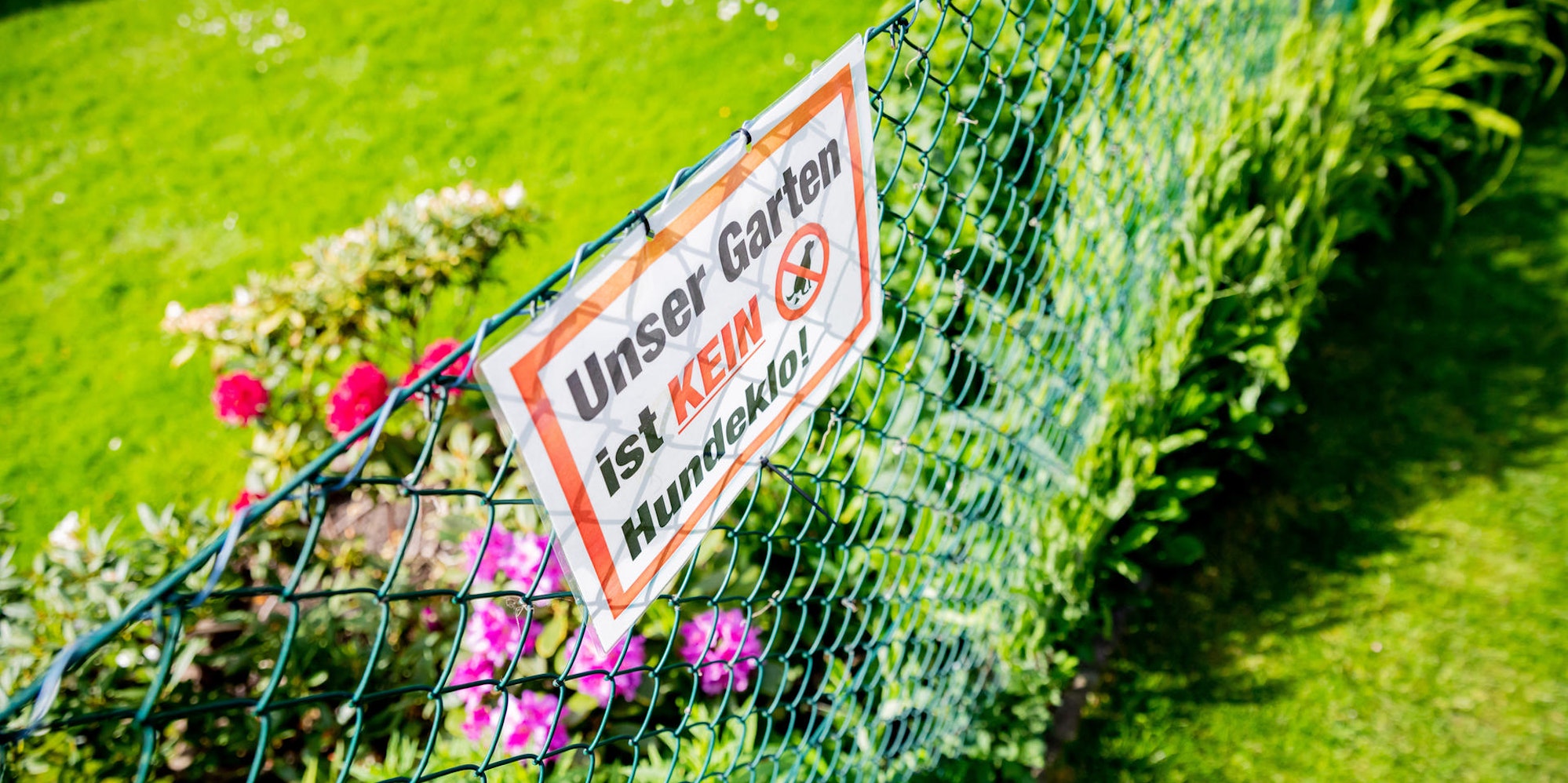 MDS-KR-2022-04-14-71-178331341