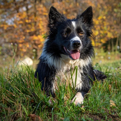 GettyImages-1067547332