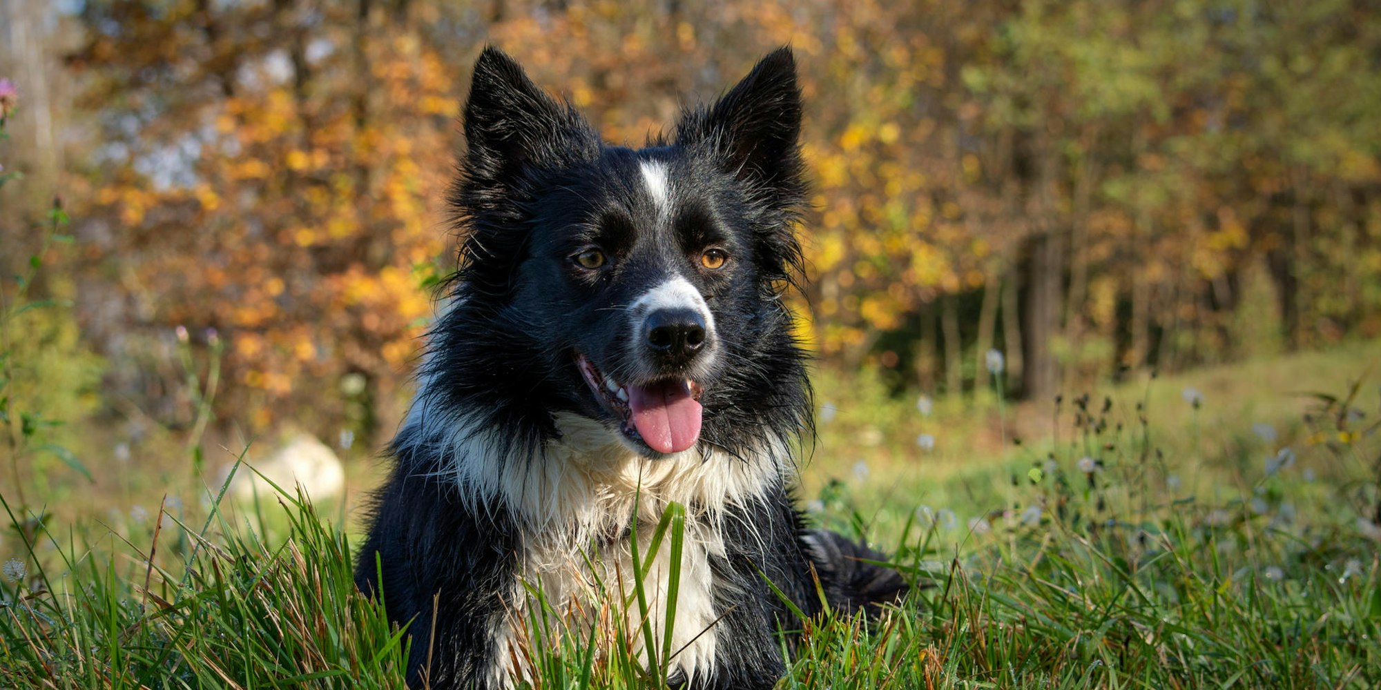 GettyImages-1067547332