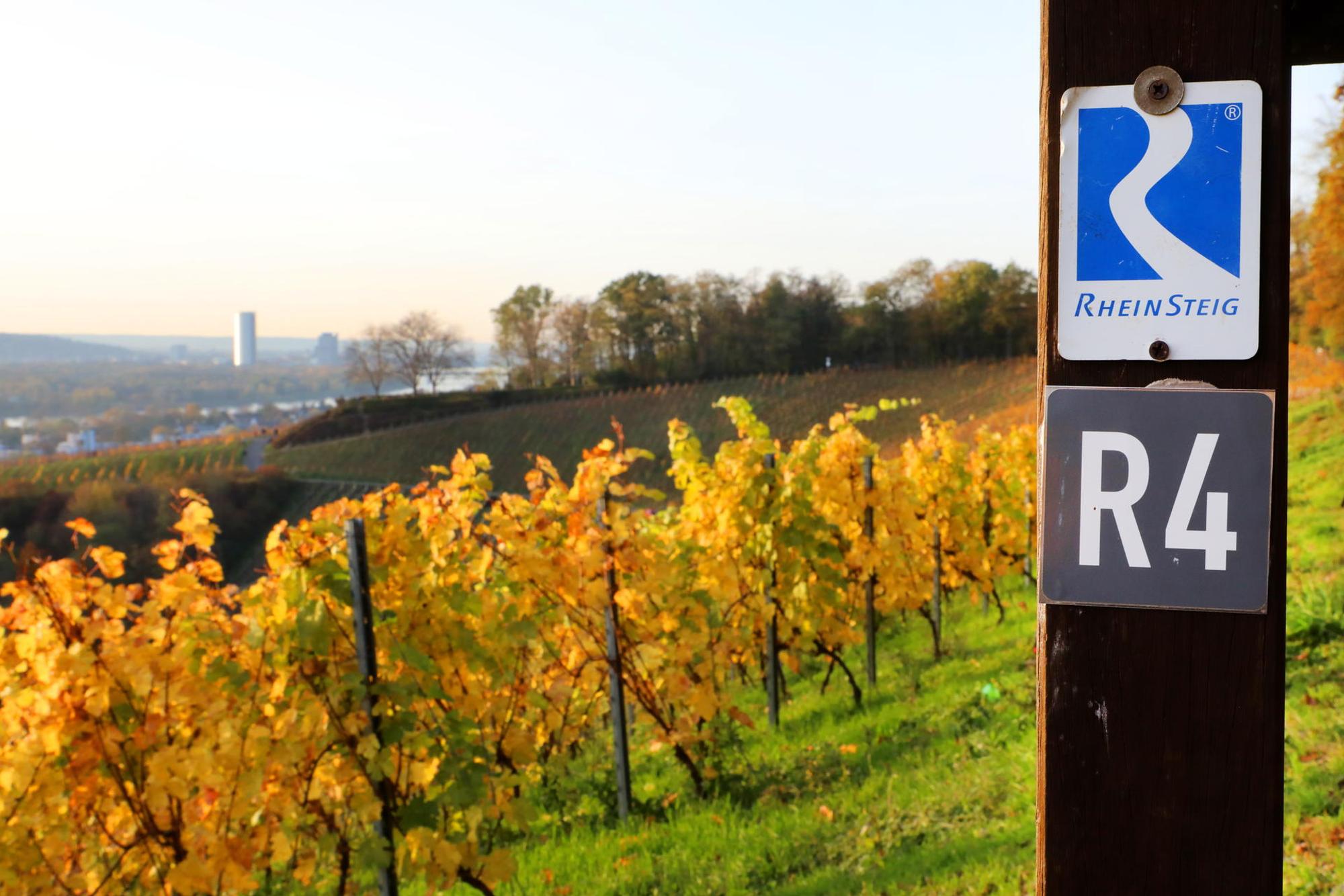 Siebengebirge_Rabenlay-Oberdollendorf_0088