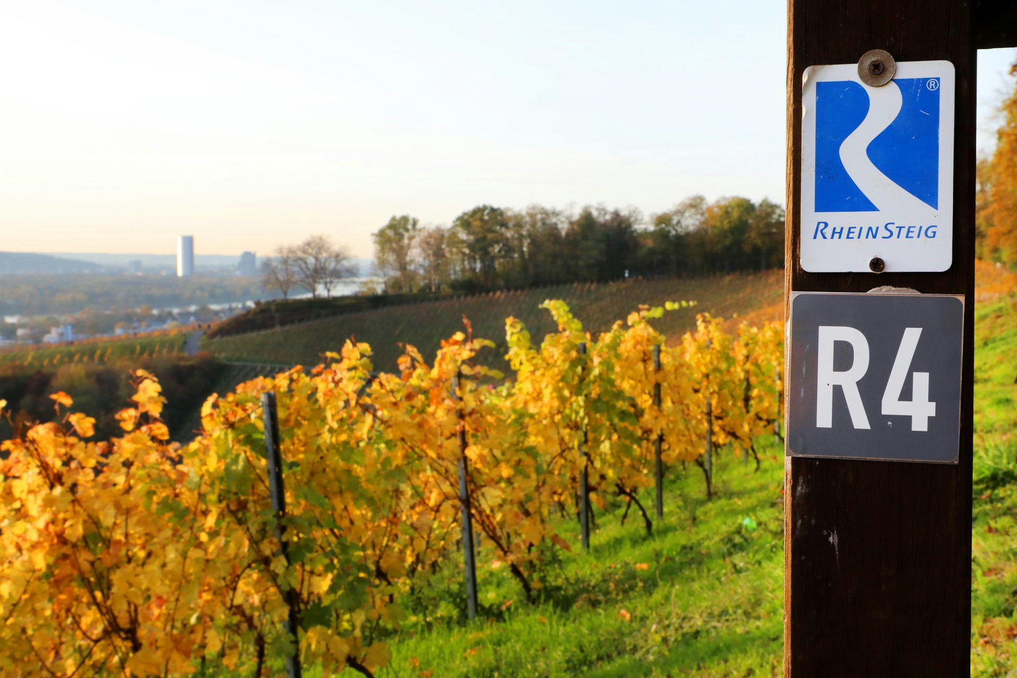 Siebengebirge_Rabenlay-Oberdollendorf_0088