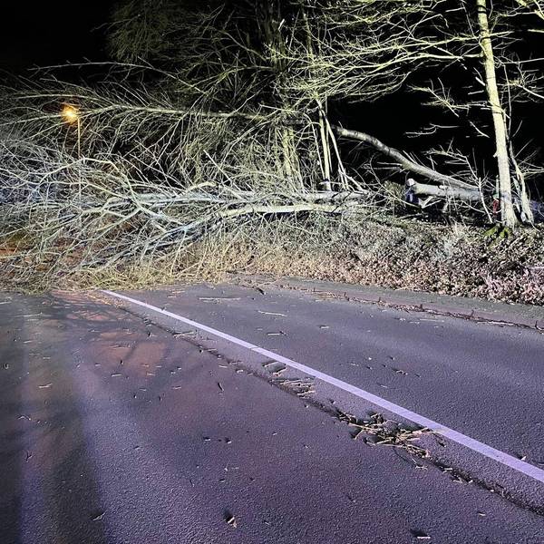 Bild Unwetter2