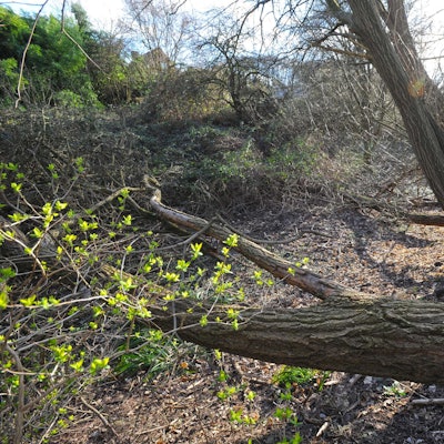 WU_baugebiet-kradenpuhl_(2)