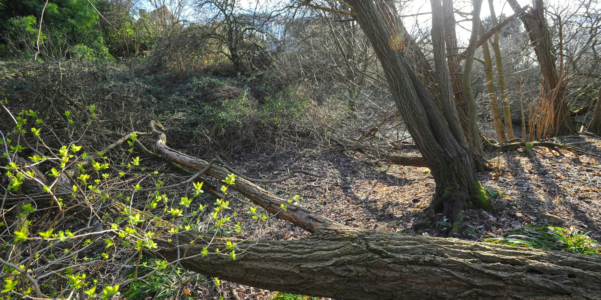 WU_baugebiet-kradenpuhl_(2)