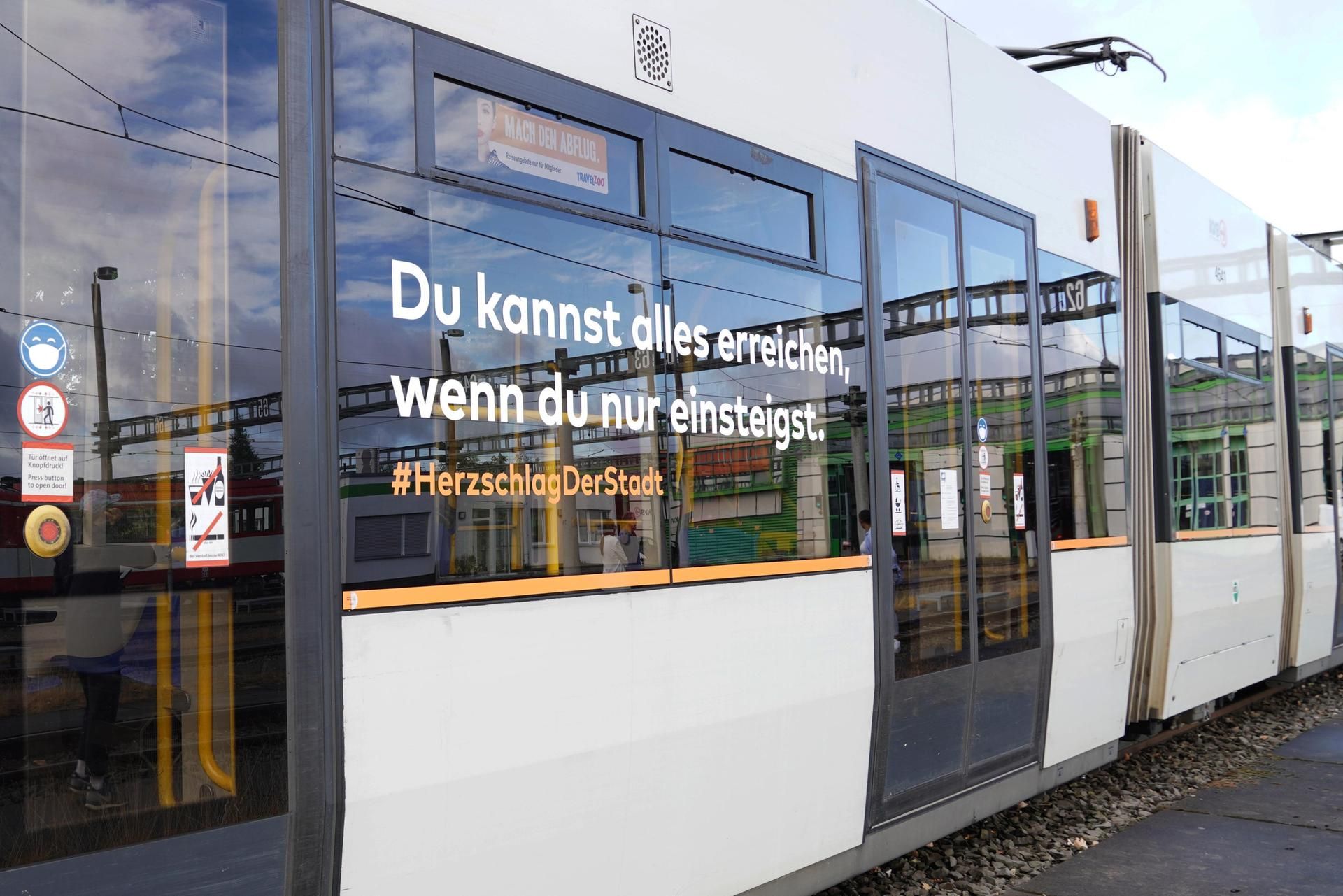 Neuer Inhalt (13)