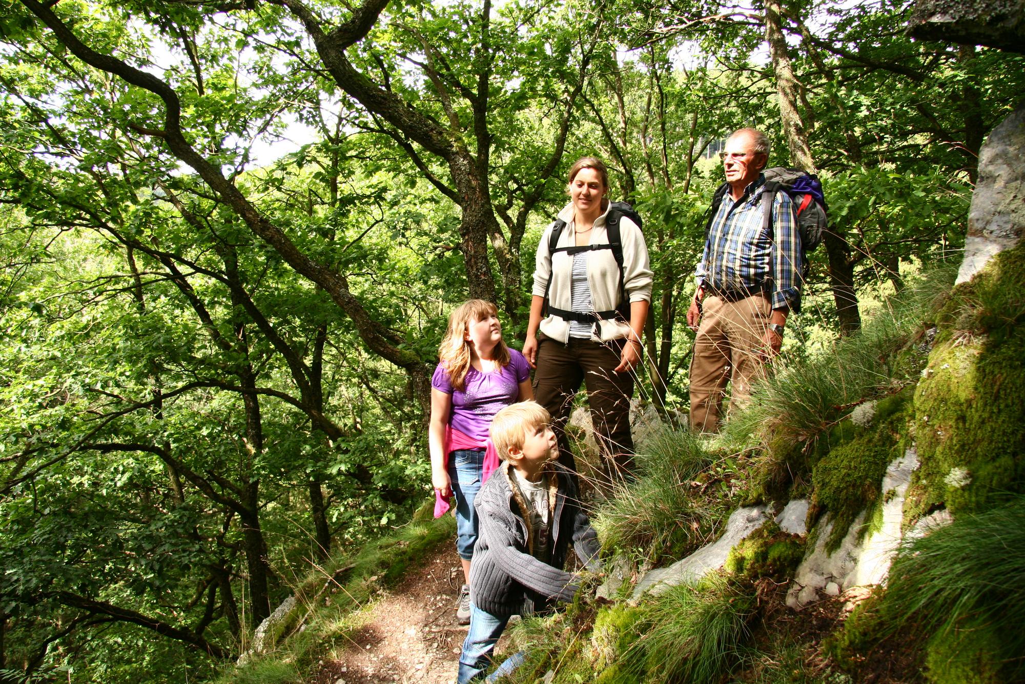 Wildnistrail Eifel rureifel Wandern