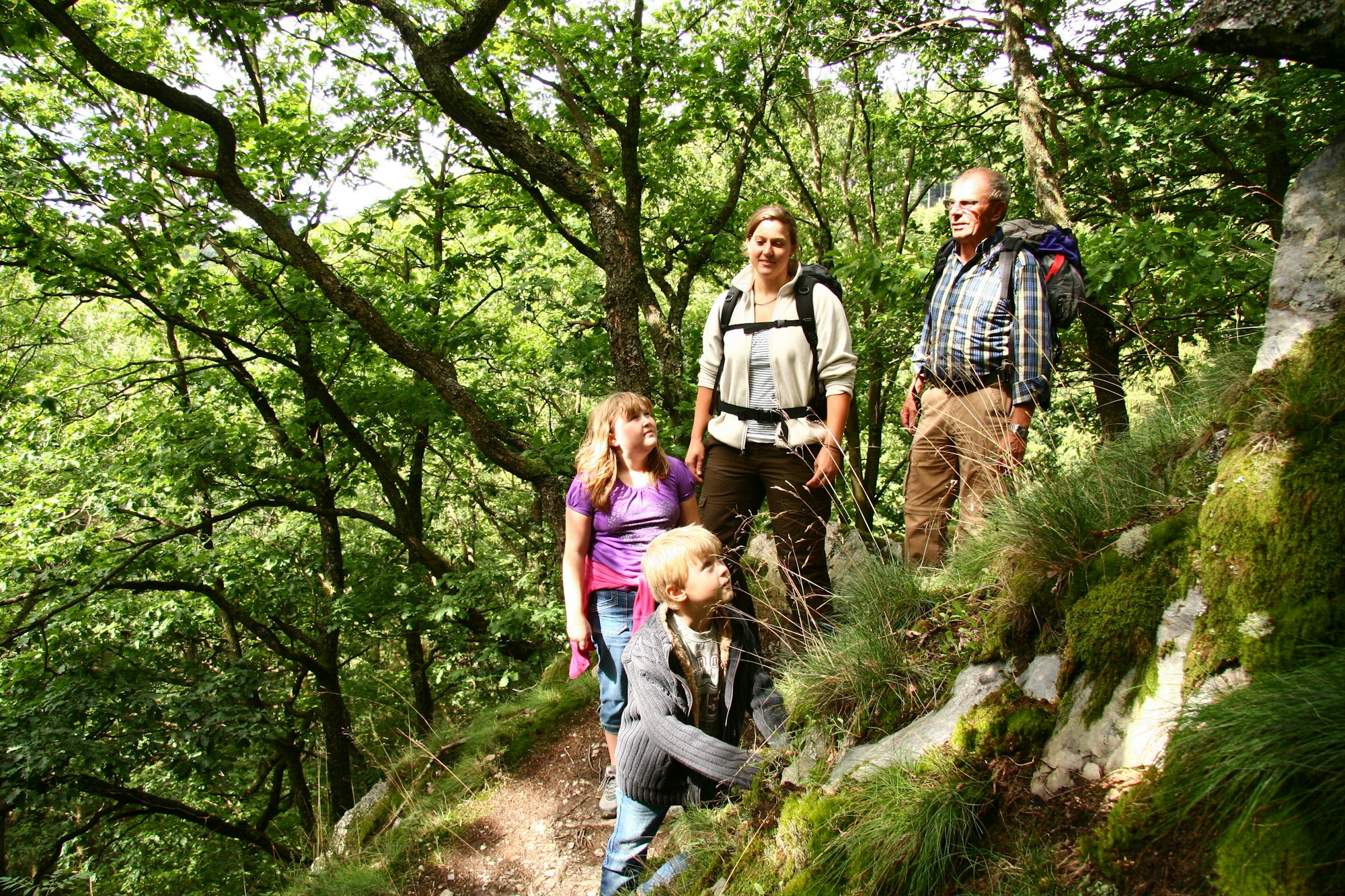 Wildnistrail Eifel rureifel Wandern