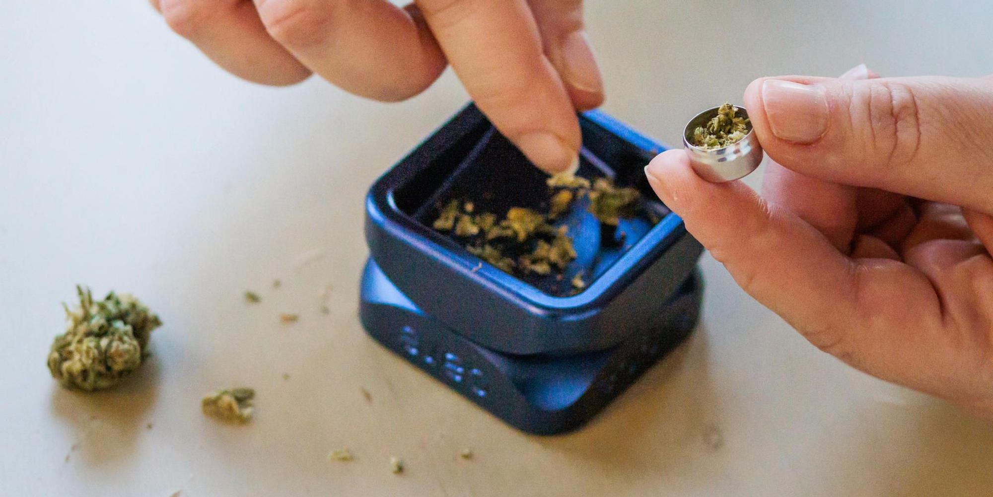 Cannabis Symbolbild