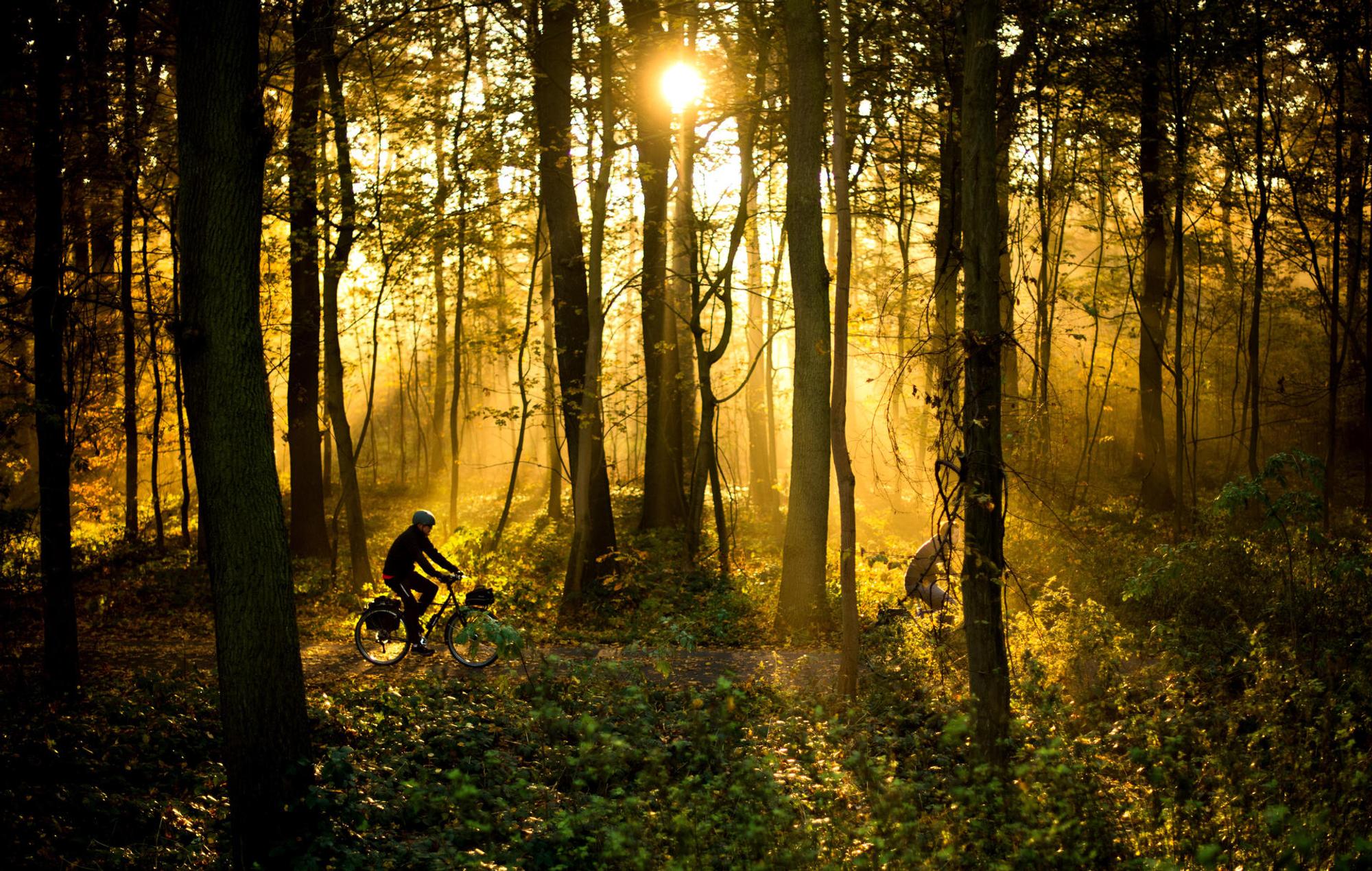 Radtour Radfahren dpa 2017
