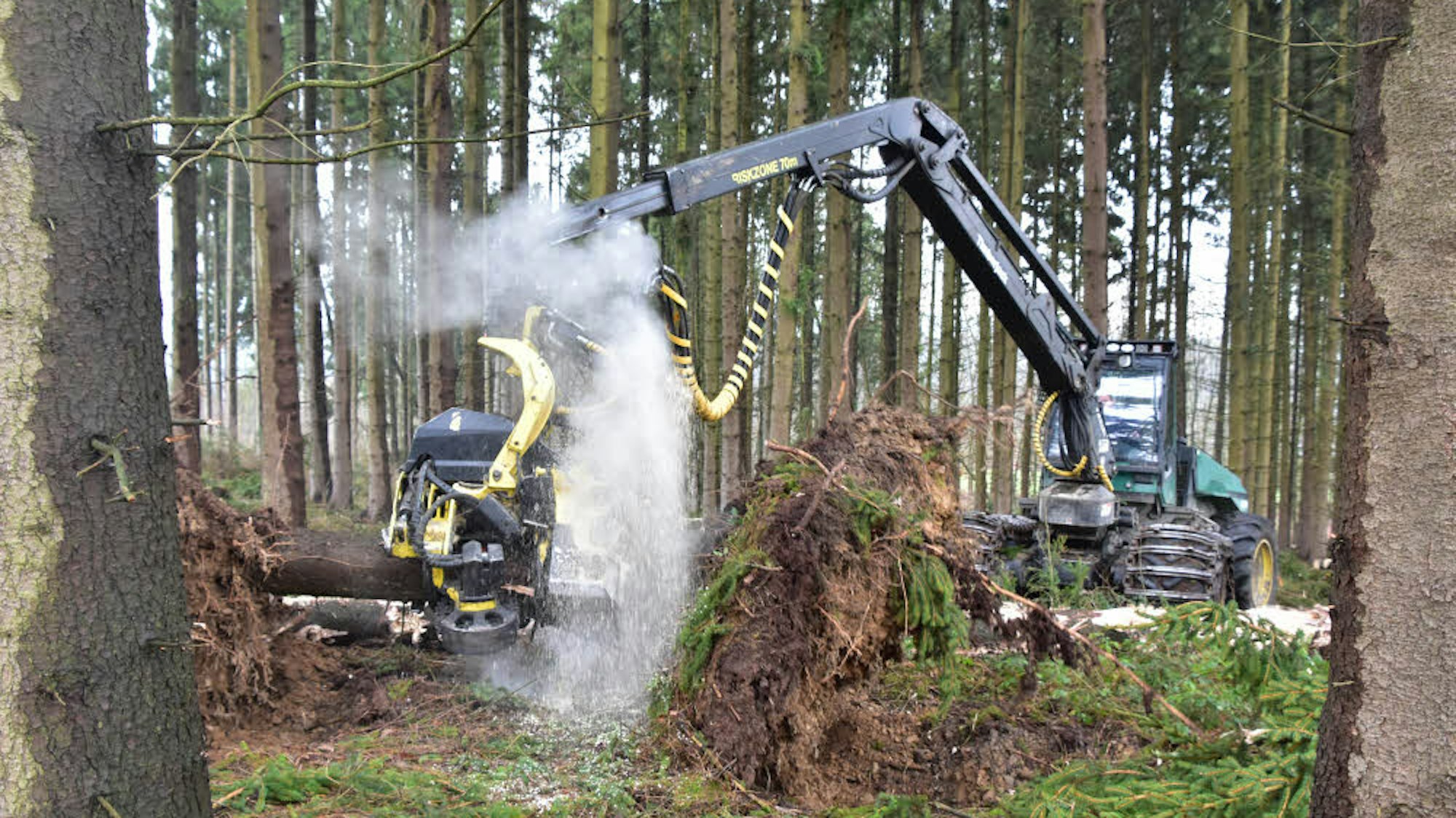 Auf dem Bild sind Forstarbeiten zu sehen.