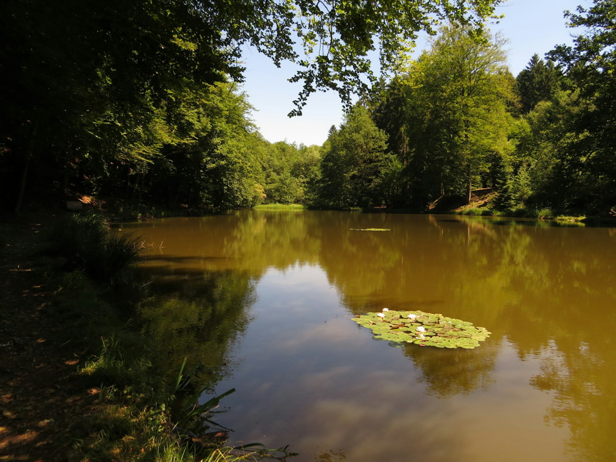 bensberger hardt loga